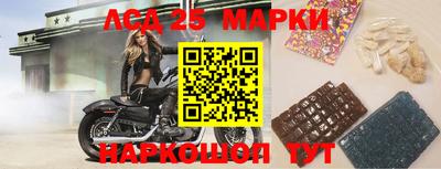 mdpv Кандалакша