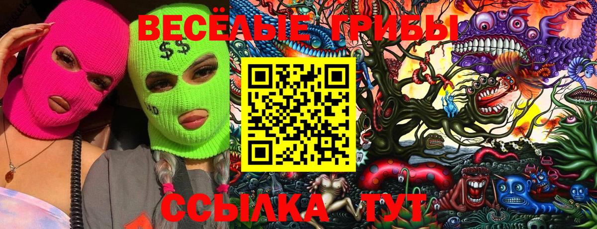 купить наркотики цена  Псилоцибиновые грибы GOLDEN TEACHER  Вход с VPN  Краснодар 